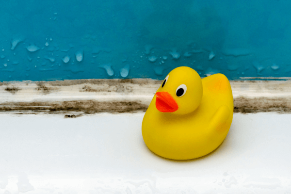 rubber ducky with black mold in your shower