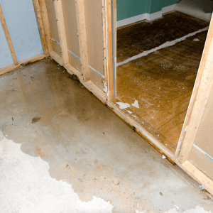 category water damage in home