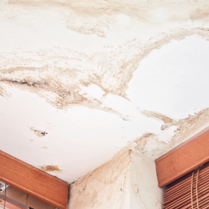 interior house ceiling needs water damage restoration