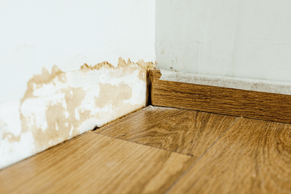 what are the causes of water damage