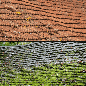 sagging roof